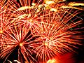 Red Roses of Fireworks