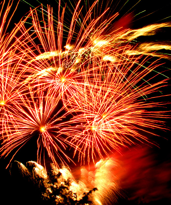 Red Roses of Fireworks