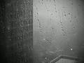Rainy Afternoon